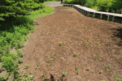 200620_sasa