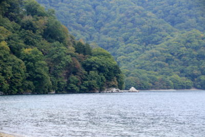 201003_senju