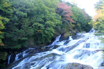 201005_ryuuzunaka