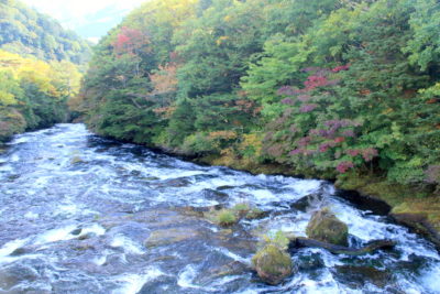 201005_ryuuzuue