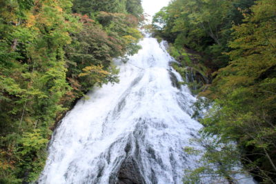 201006_yutaki