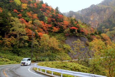 201008_konsei