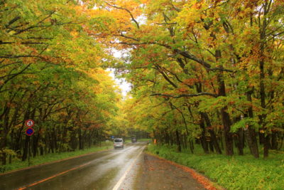 201008_r120