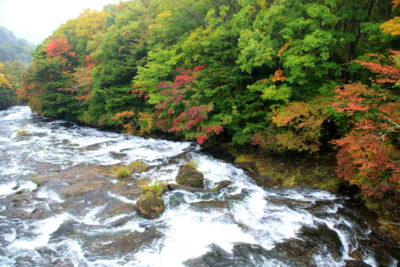 201008_ryuzuue_ugan