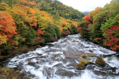 201011_ryuuzuue