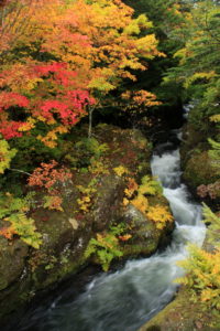 201011_ryuuzuueue