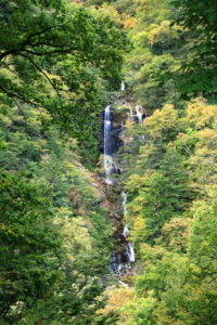 201013_jaounotaki