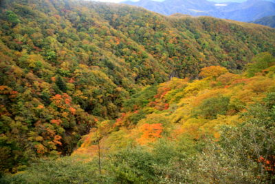 201013_roppouzawa