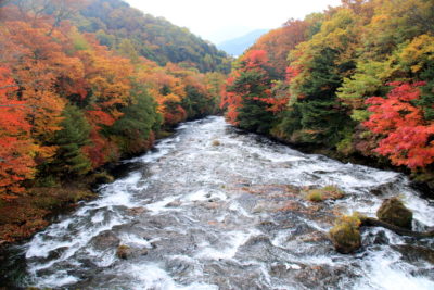201014_ryuuzutakiue