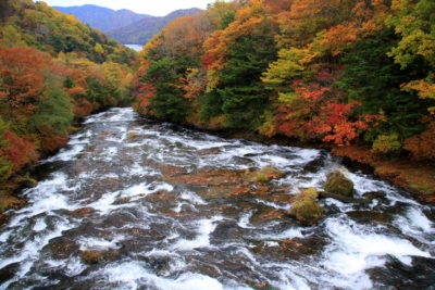 201019_ryuuzuue