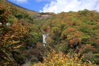 201020_houtoutaki