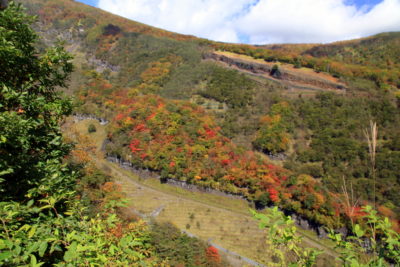 201020_oonagi