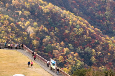 201021_hangetu