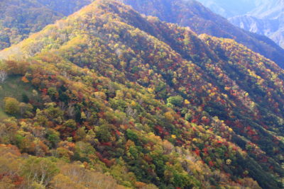 201021_hangetu_kumori