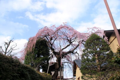 210329_takadake