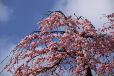 210329_takadake2