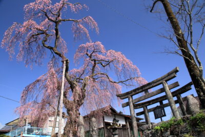 210331_kokuzou
