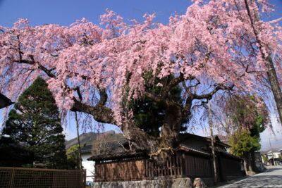210331_takaadke