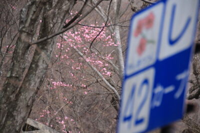 210408_kengamine