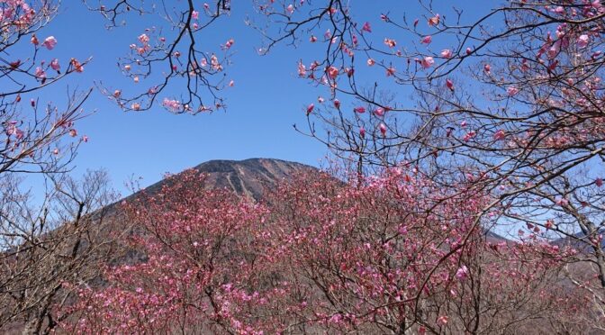 2021年4月26日　アカヤシオと男体山