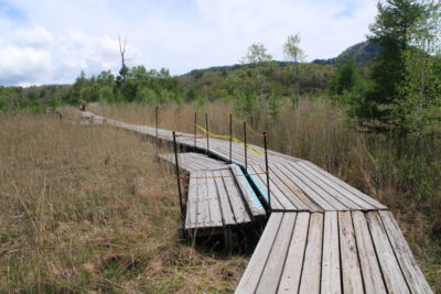 210528_mokudou