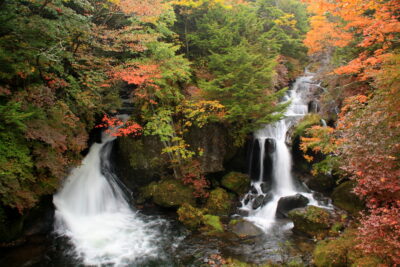 211012_ryuuzu