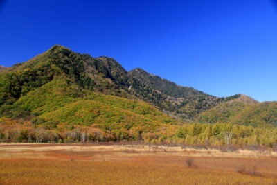 211015_kojousan