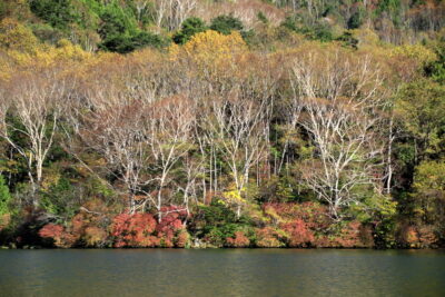 211015_yunoko