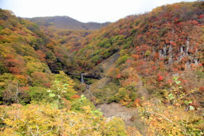 211027_hannya
