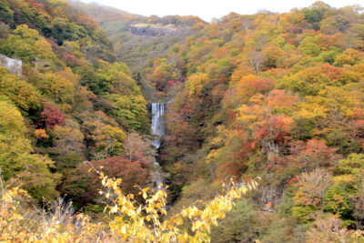 211027_houtou