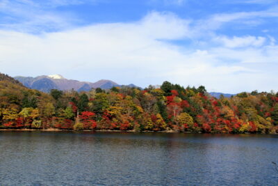 211027_kouyou-yuki
