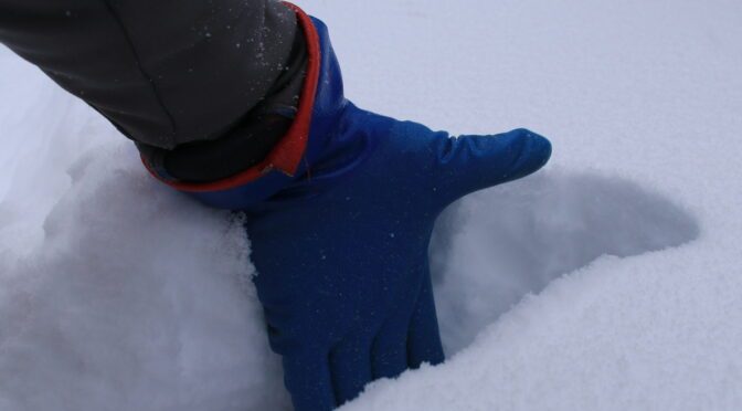 雪は降れども・・・