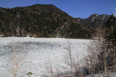 22042_sugenuma