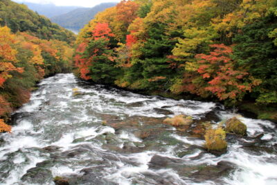 221013_ryuuzuue_sagan