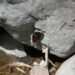 080827_kiberi